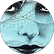 Brenda M.